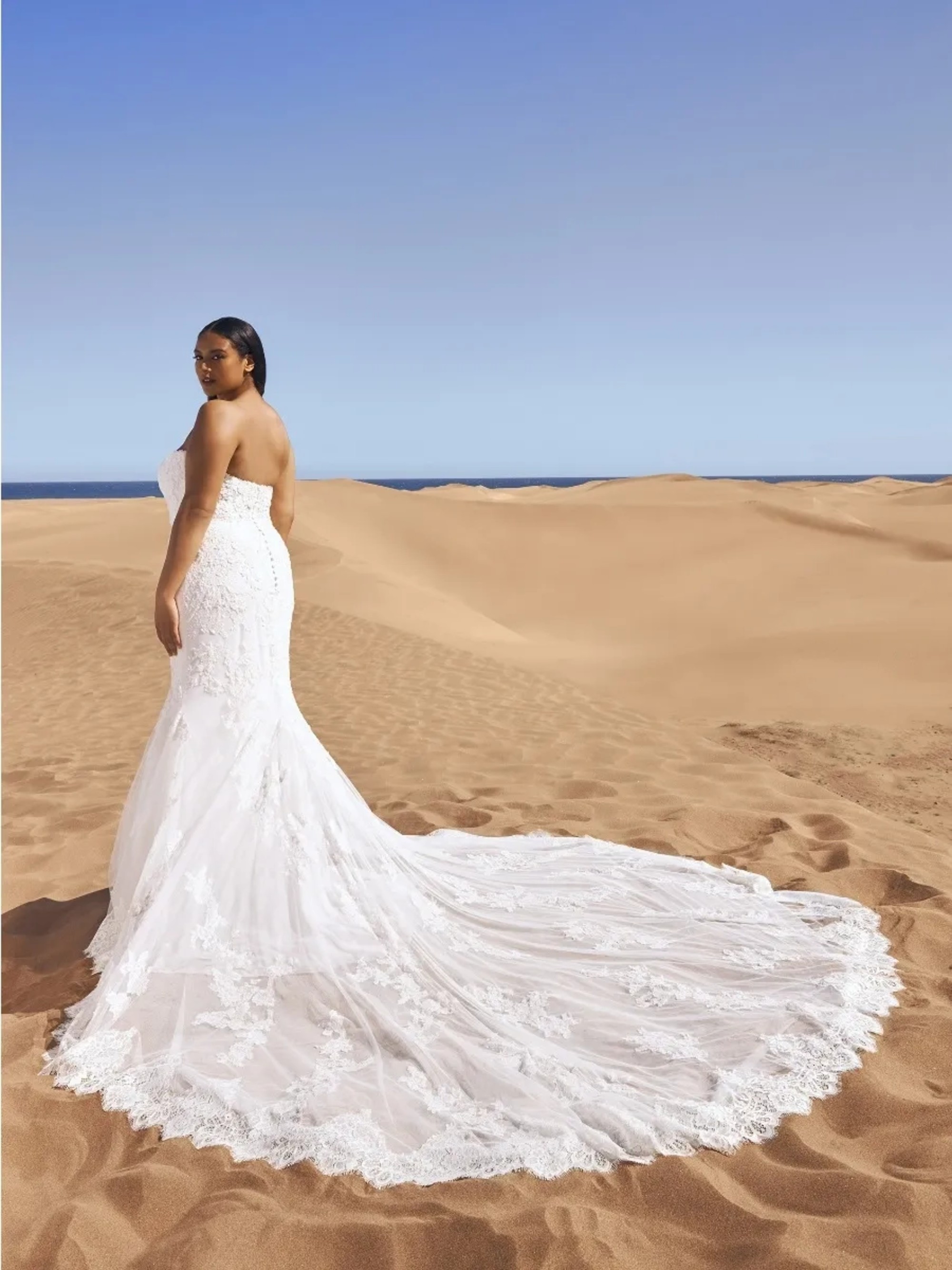 Pronovias ermin shop wedding dress